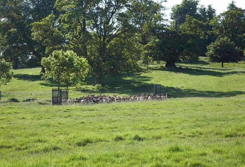 ベッドアンドブレックファースト Park Farm