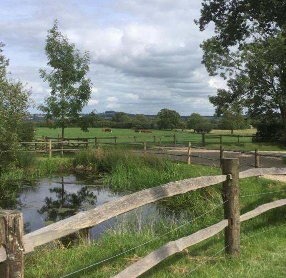 ベッドアンドブレックファースト Park Farm