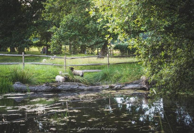 ベッドアンドブレックファースト Park Farm