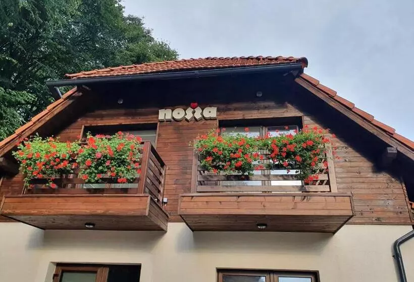 Aamiaismajoitus (B&B) Pensiunea Nossa Panzió