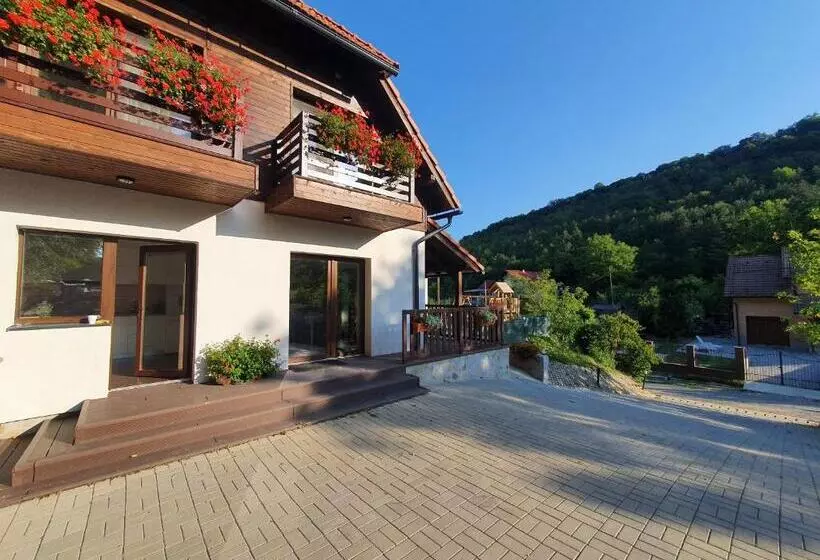 Aamiaismajoitus (B&B) Pensiunea Nossa Panzió