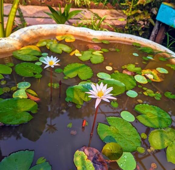 Hotelli Cozy Wellness Cocoons