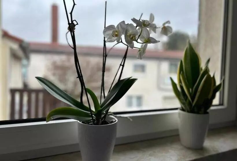 Pension Hotel Leinefelde Am Bahnhof