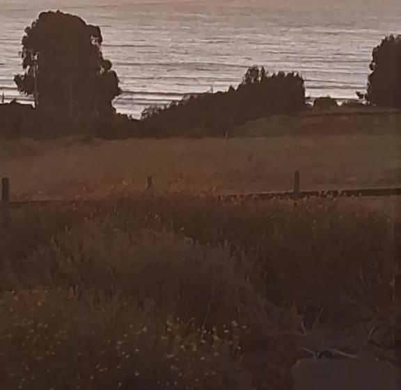 تختخواب و صبحانه Azul Petroleo