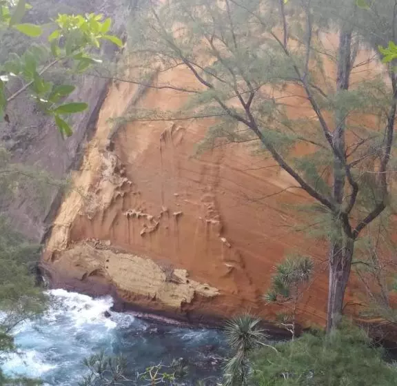 تختخواب و صبحانه Les Oliviers Sous Le Cocotier Chambre D Hôtes