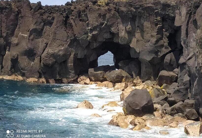 تختخواب و صبحانه Les Oliviers Sous Le Cocotier Chambre D Hôtes