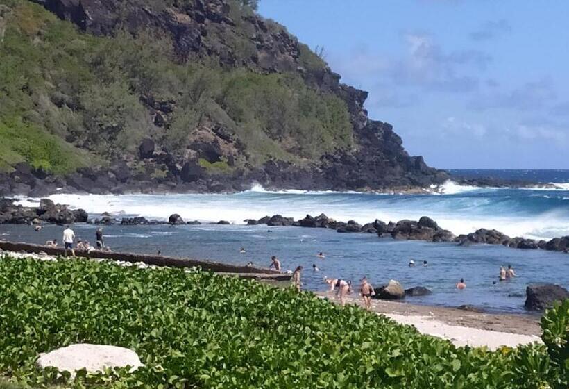 تختخواب و صبحانه Les Oliviers Sous Le Cocotier Chambre D Hôtes