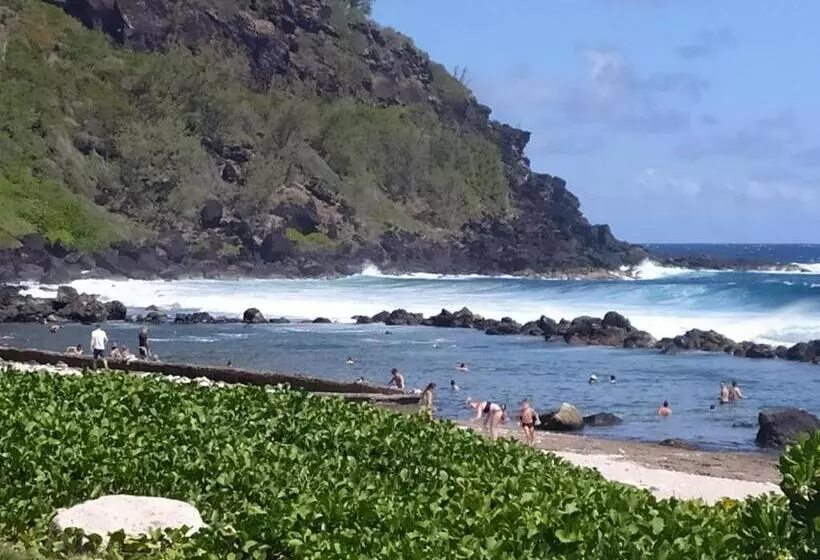 تختخواب و صبحانه Les Oliviers Sous Le Cocotier Chambre D Hôtes