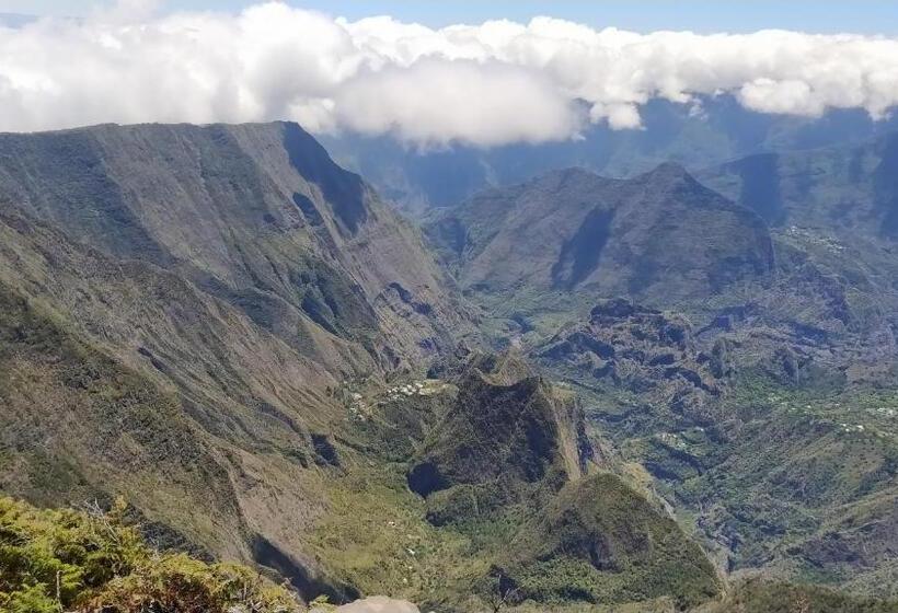 تختخواب و صبحانه Les Oliviers Sous Le Cocotier Chambre D Hôtes
