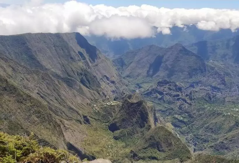 تختخواب و صبحانه Les Oliviers Sous Le Cocotier Chambre D Hôtes
