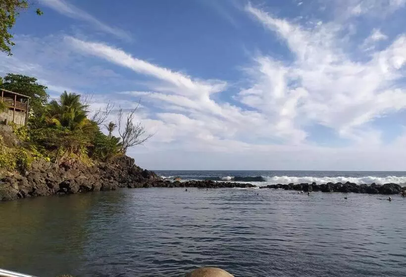 تختخواب و صبحانه Les Oliviers Sous Le Cocotier Chambre D Hôtes