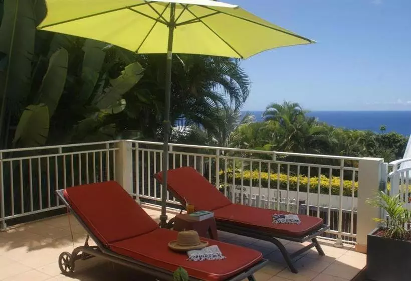 تختخواب و صبحانه Les Oliviers Sous Le Cocotier Chambre D Hôtes