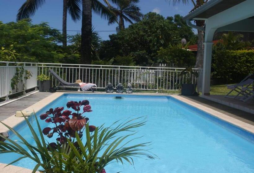 تختخواب و صبحانه Les Oliviers Sous Le Cocotier Chambre D Hôtes