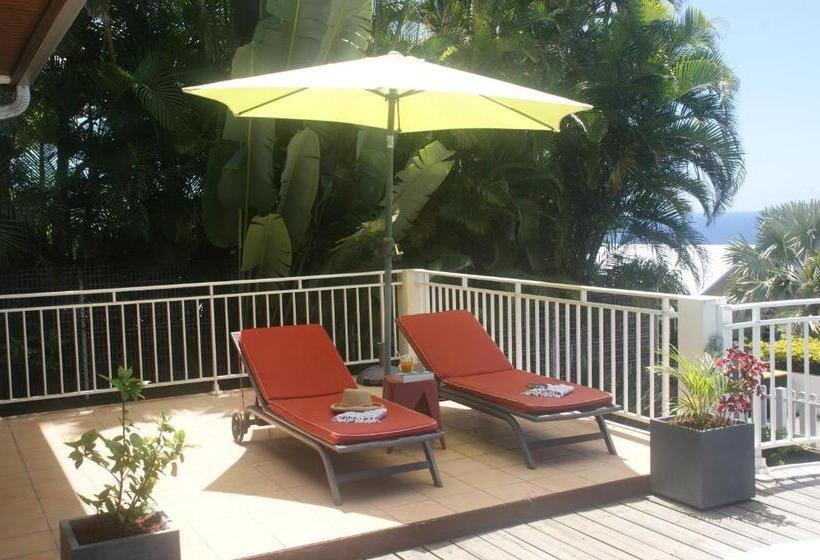 تختخواب و صبحانه Les Oliviers Sous Le Cocotier Chambre D Hôtes