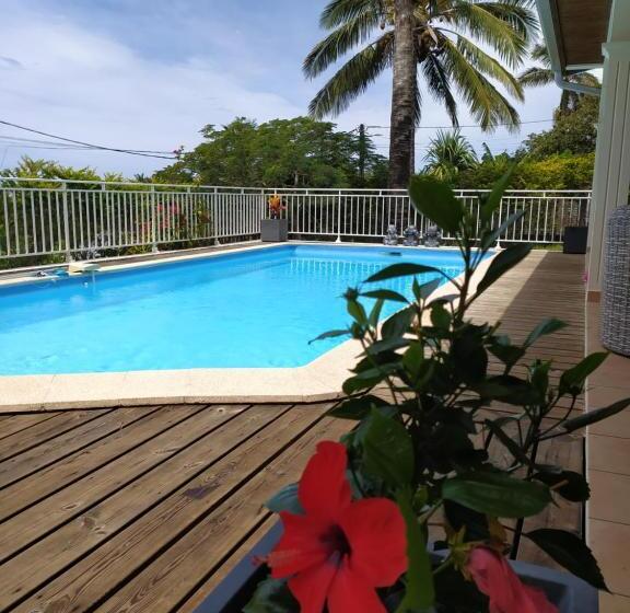 تختخواب و صبحانه Les Oliviers Sous Le Cocotier Chambre D Hôtes