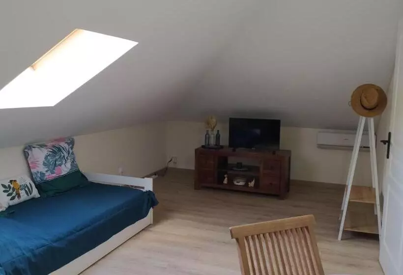 تختخواب و صبحانه Les Oliviers Sous Le Cocotier Chambre D Hôtes