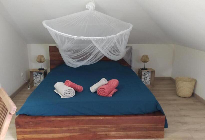 تختخواب و صبحانه Les Oliviers Sous Le Cocotier Chambre D Hôtes