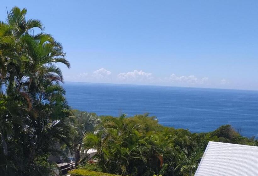 تختخواب و صبحانه Les Oliviers Sous Le Cocotier Chambre D Hôtes