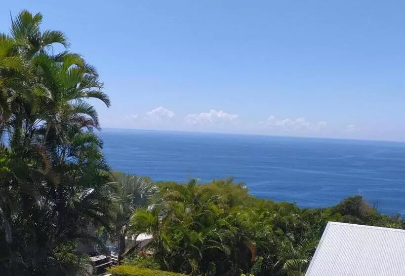 تختخواب و صبحانه Les Oliviers Sous Le Cocotier Chambre D Hôtes