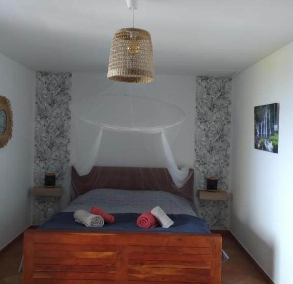 تختخواب و صبحانه Les Oliviers Sous Le Cocotier Chambre D Hôtes