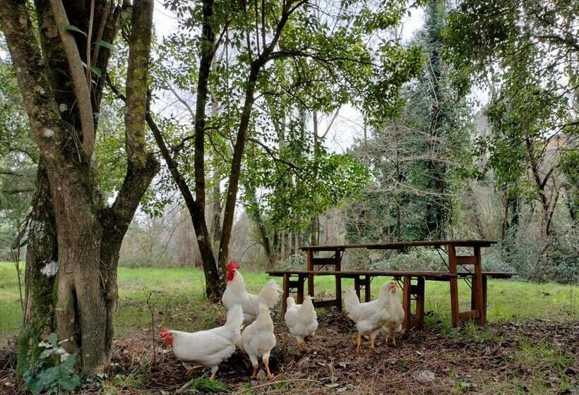 בית מלון כפרי Podere Delle Arti