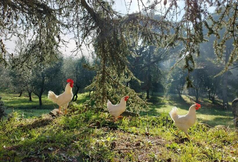 בית מלון כפרי Podere Delle Arti