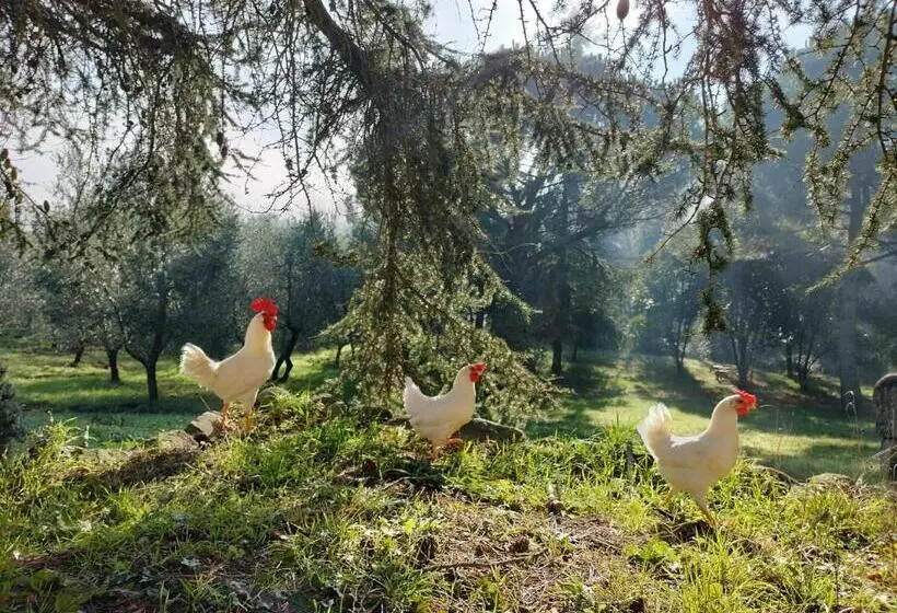 ホテル Podere Delle Arti