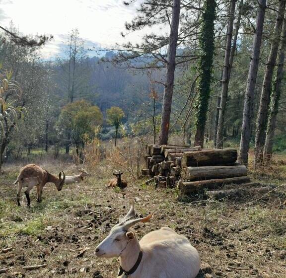 בית מלון כפרי Podere Delle Arti
