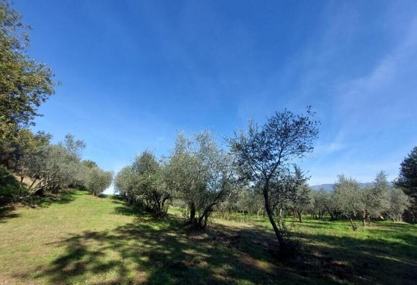 בית מלון כפרי Podere Delle Arti