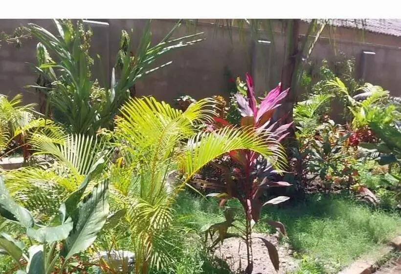 ホテル Zangreen Bungalows
