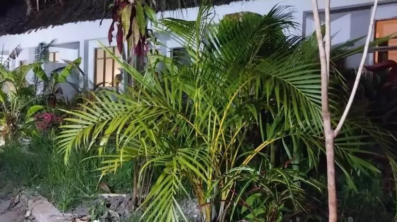 ホテル Zangreen Bungalows
