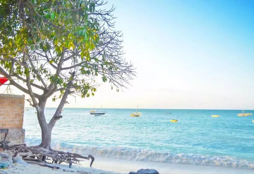 Majatalo Room In Bb   Room Had Glaund Flow With Two Guests