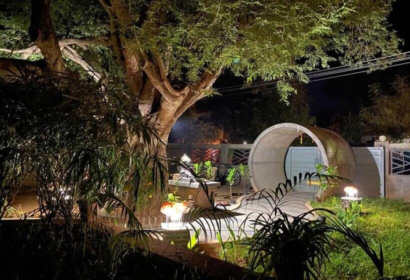 פנסיון Soulzone