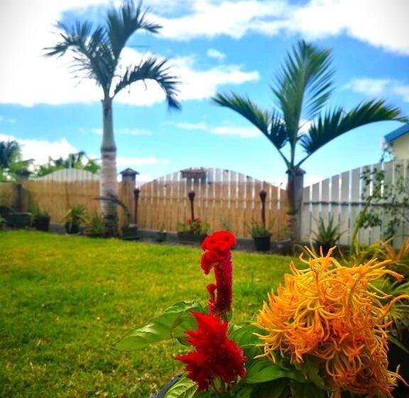 تختخواب و صبحانه Le Panoramique Loft