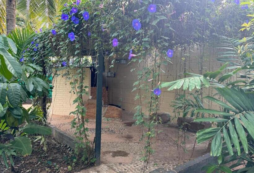 호텔 Chikoo Farm Inn