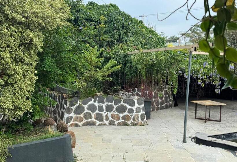 호텔 Chikoo Farm Inn