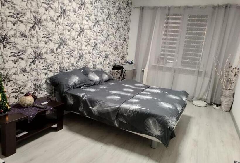 هتل Garsoniera Ultracentral Colt Cu Primaria Craiova