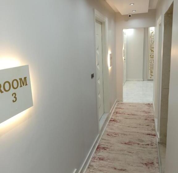 هتل Grand Pyramids View Inn