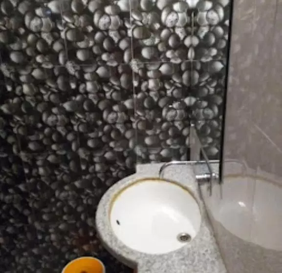 Hotelli The Residency,amarkantak