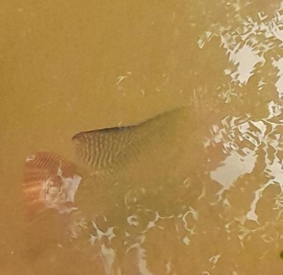 فندق Villa Sanasika