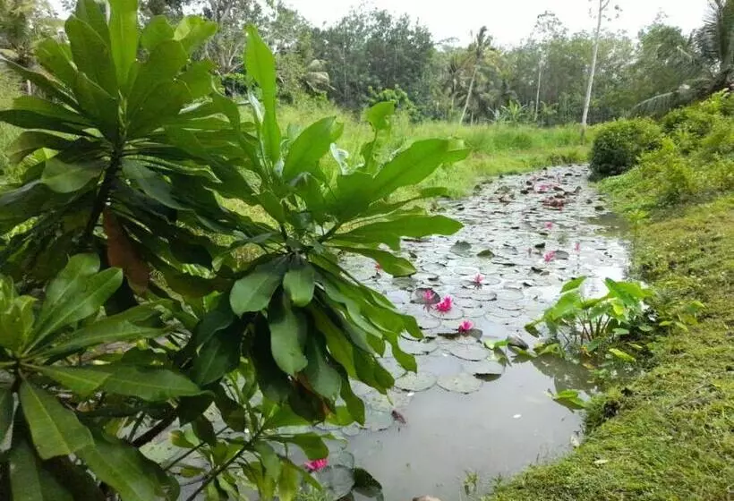 ホテル Villa Sanasika