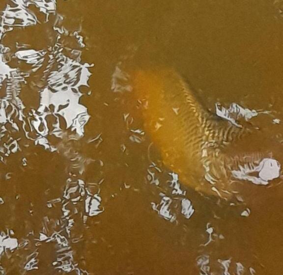 فندق Villa Sanasika