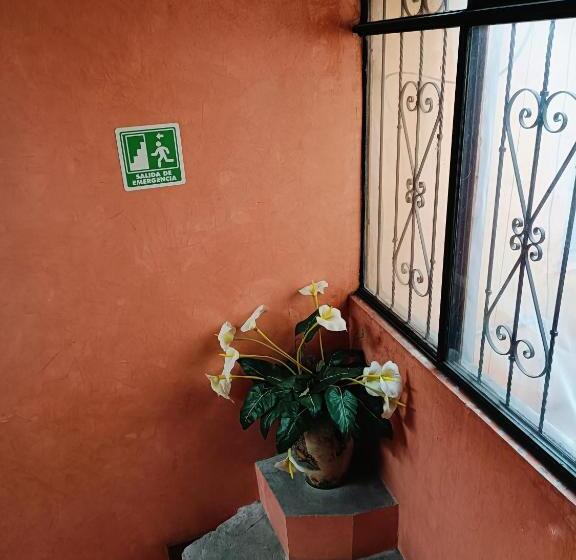 Отель Virreynal