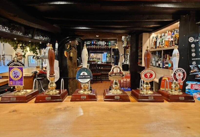 膳宿费 The Green Dragon