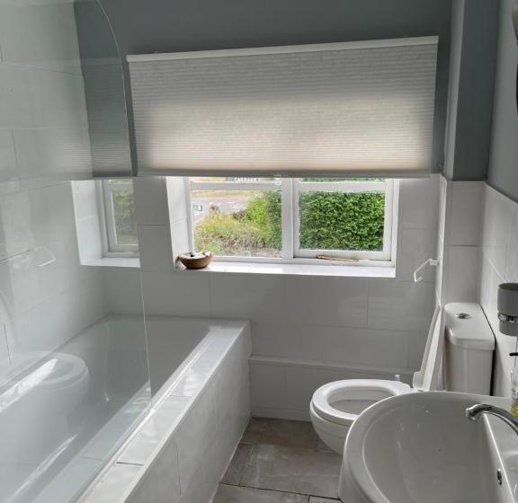 膳宿费 The Green Dragon