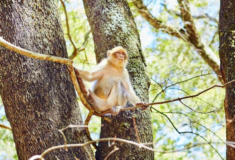 Riad Fez Experiences