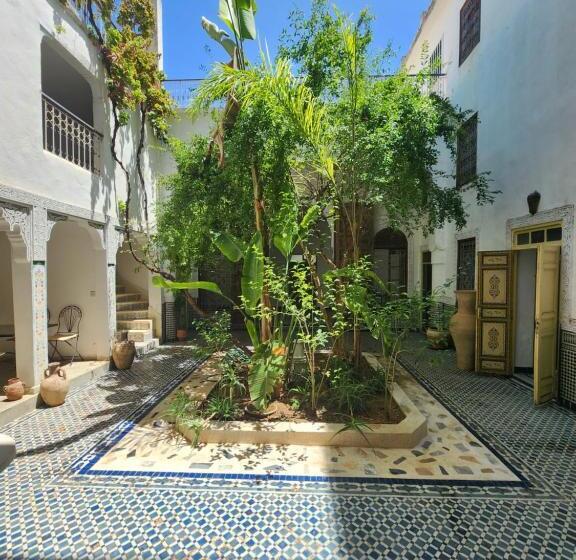 Riad Fez Experiences