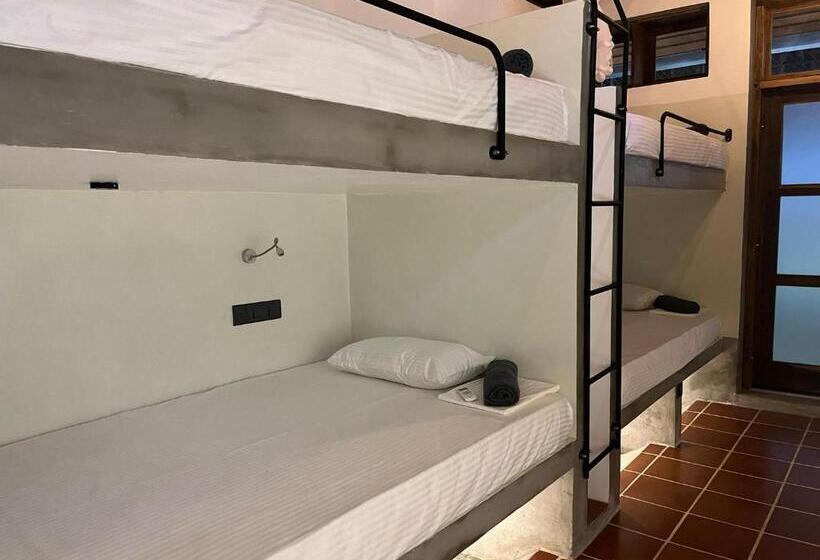 הוסטל Bappa S Place