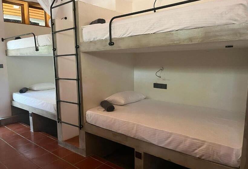 הוסטל Bappa S Place