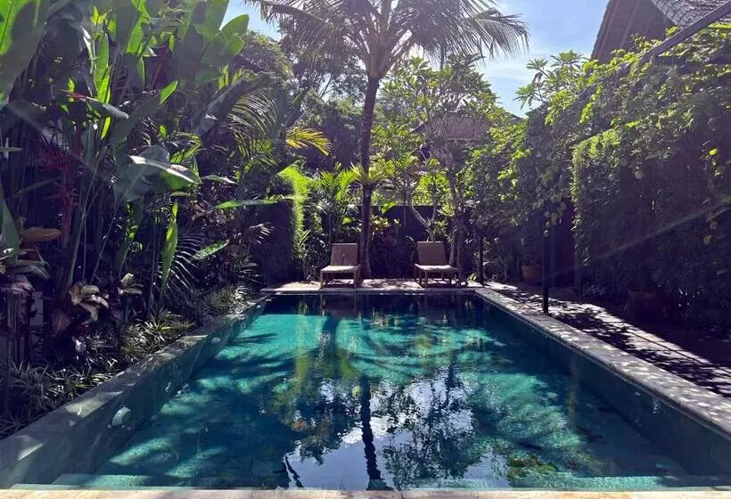 Aamiaismajoitus (B&B) Joyously Raw Villas